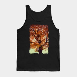 Beech Tree In Fall Colors Tank Top